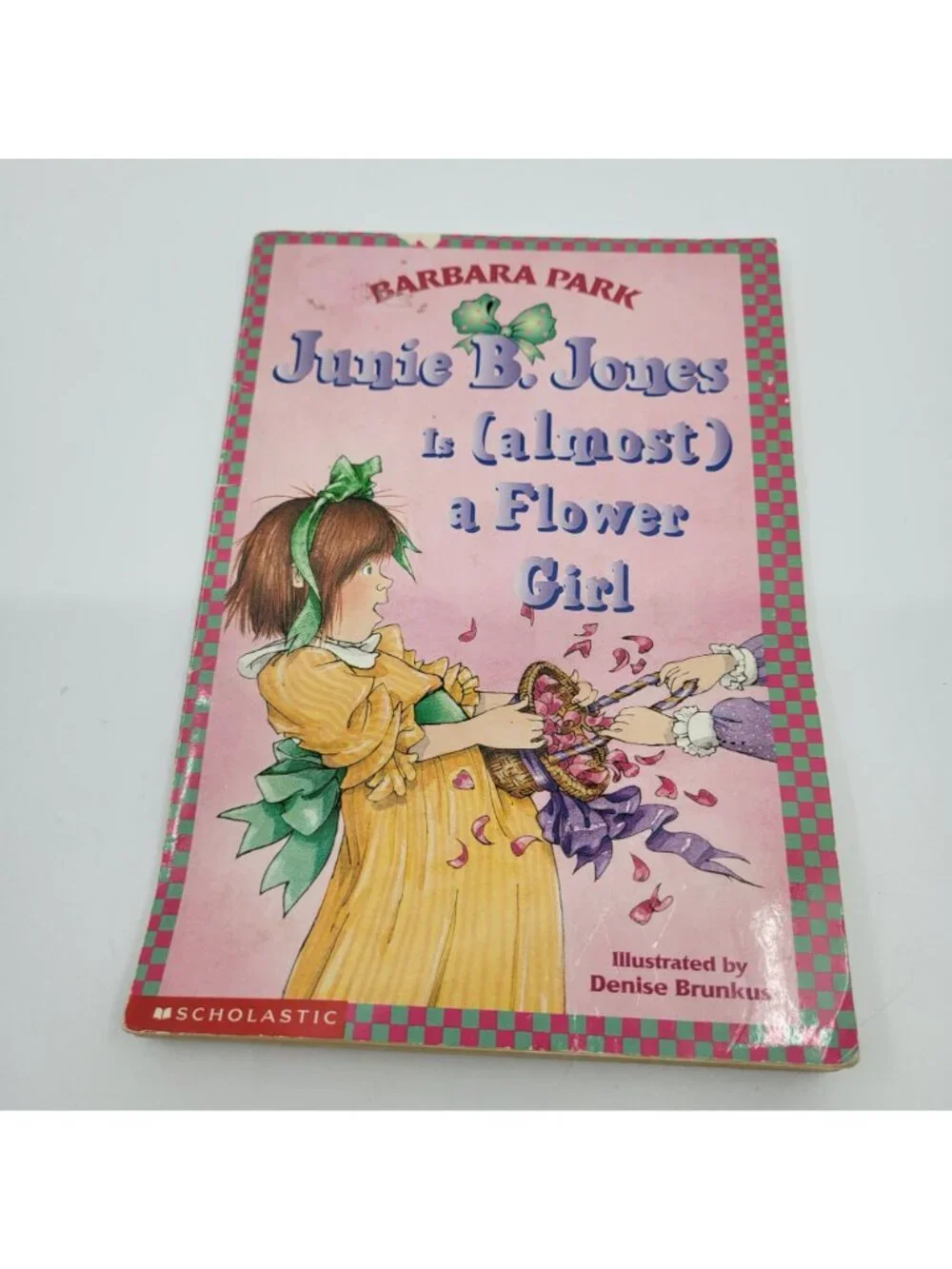 JUNIE B. JONES Lot of 16 Chapter Books by Barbara Park - CB035